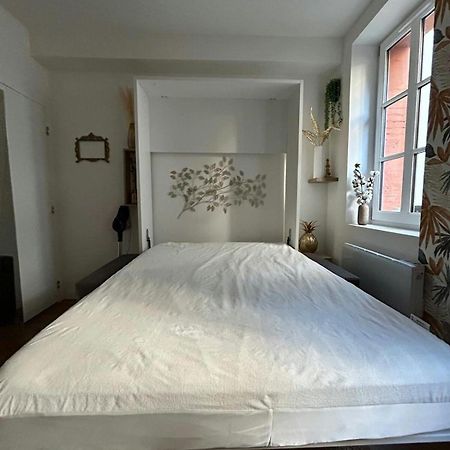 Casa Nostra - T1 - Terrasse Privative Apartment Тулуза Екстериор снимка