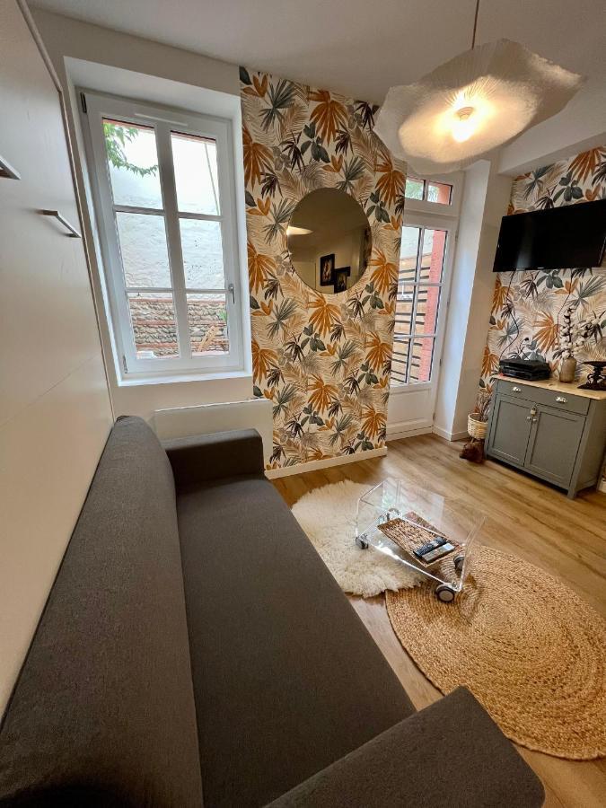Casa Nostra - T1 - Terrasse Privative Apartment Тулуза Екстериор снимка