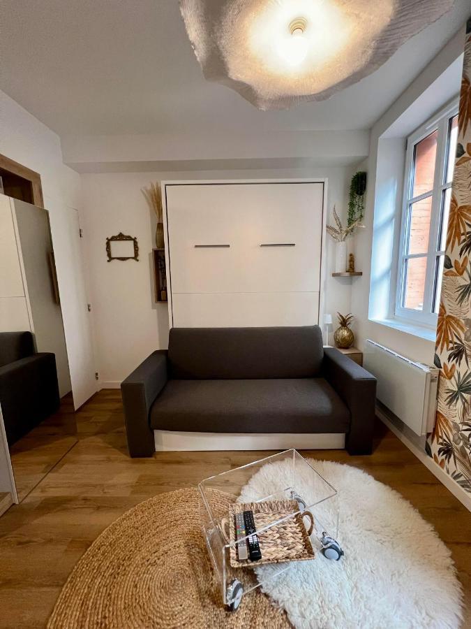 Casa Nostra - T1 - Terrasse Privative Apartment Тулуза Екстериор снимка